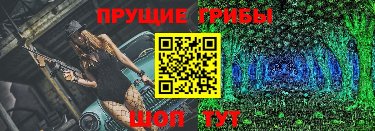 Будённовск  Галлюциногенные грибы прущие грибы  Вход с VPN 